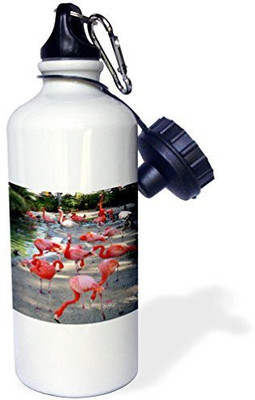 

3dRose 621 ml Water Purifier Bottle(White)