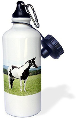 

3dRose 621 ml Water Purifier Bottle(White)
