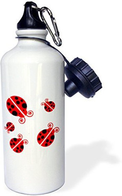 

3dRose 621 ml Water Purifier Bottle(White)