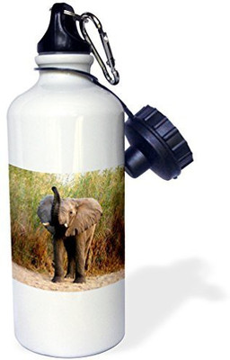 

3dRose 621 ml Water Purifier Bottle(White)