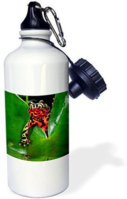 

3dRose 621 ml Water Purifier Bottle(White)