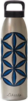 

Liberty Bottleworks 710 ml Water Purifier Bottle(Multicolor)