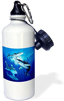 

3dRose 621 ml Water Purifier Bottle(White)