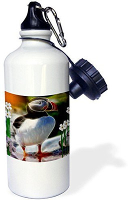 

3dRose 621 ml Water Purifier Bottle(White)