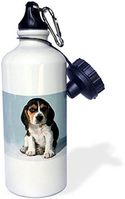 3dRose 621 ml Water Purifier Bottle(White)