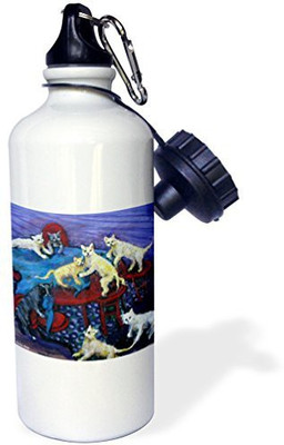 

3dRose 621 ml Water Purifier Bottle(White)