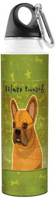 

Tree-Free Greetings 532 ml Water Purifier Bottle(Multicolor)