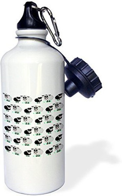 

3dRose 621 ml Water Purifier Bottle(White)
