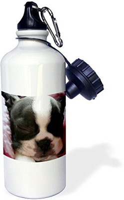 

3dRose 621 ml Water Purifier Bottle(White)