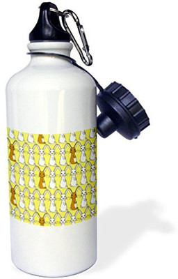 

3dRose 621 ml Water Purifier Bottle(White)