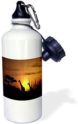 

3dRose 621 ml Water Purifier Bottle(White)