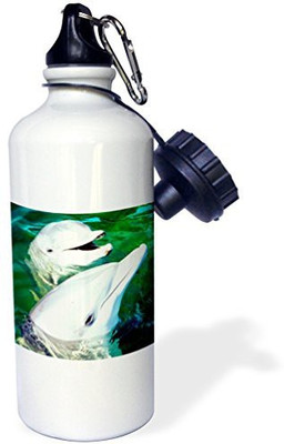 3dRose 621 ml Water Purifier Bottle(White)