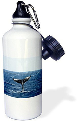 

3dRose 621 ml Water Purifier Bottle(White)