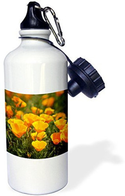 

3dRose 621 ml Water Purifier Bottle(White)