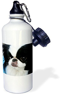 

3dRose 621 ml Water Purifier Bottle(White)