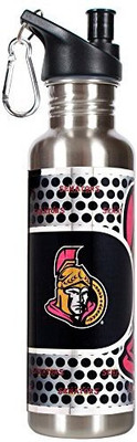 

Great American Products 769 ml Water Purifier Bottle(Silver)