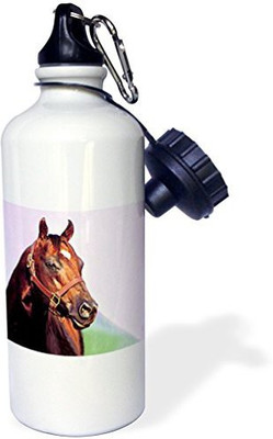 

3dRose 621 ml Water Purifier Bottle(White)