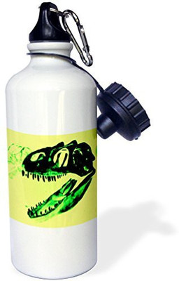 

3dRose 621 ml Water Purifier Bottle(White)