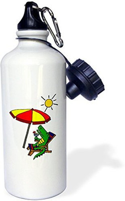

3dRose 621 ml Water Purifier Bottle(White)