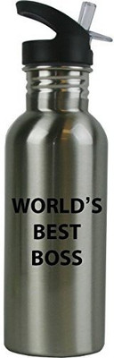 

Engraved Cases 591 ml Water Purifier Bottle(Silver)