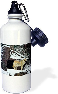 

3dRose 621 ml Water Purifier Bottle(White)
