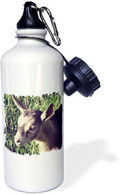 

3dRose 621 ml Water Purifier Bottle(White)