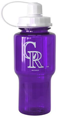 Boelter 710 ml Water Purifier Bottle(Purple)