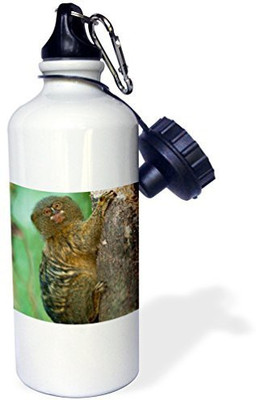 

3dRose 621 ml Water Purifier Bottle(White)