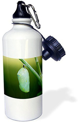 

3dRose 621 ml Water Purifier Bottle(White)