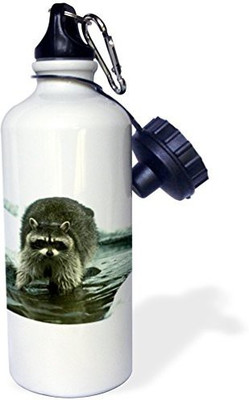 

3dRose 621 ml Water Purifier Bottle(White)