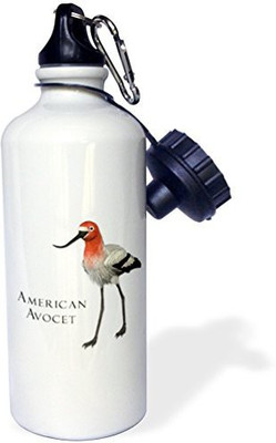 

3dRose 621 ml Water Purifier Bottle(White)