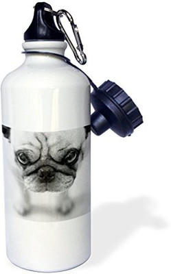 

3dRose 621 ml Water Purifier Bottle(White)