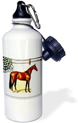 3dRose 621 ml Water Purifier Bottle(White)
