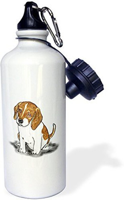 

3dRose 621 ml Water Purifier Bottle(White)