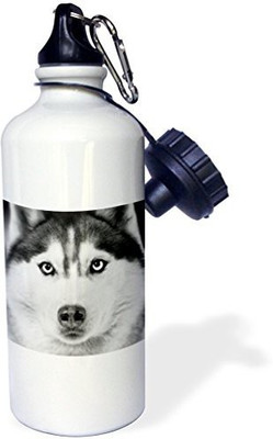 

3dRose 621 ml Water Purifier Bottle(White)