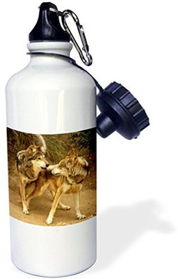 

3dRose 621 ml Water Purifier Bottle(White)