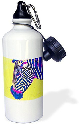 

3dRose 621 ml Water Purifier Bottle(White)