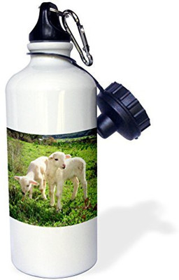

3dRose 621 ml Water Purifier Bottle(White)