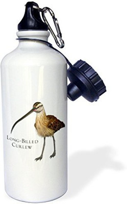 

3dRose 621 ml Water Purifier Bottle(White)