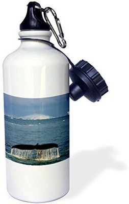 

3dRose 621 ml Water Purifier Bottle(White)