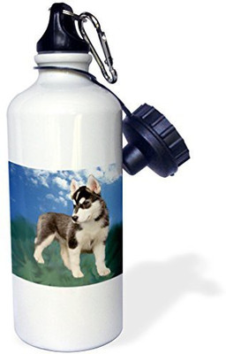 

3dRose 621 ml Water Purifier Bottle(White)