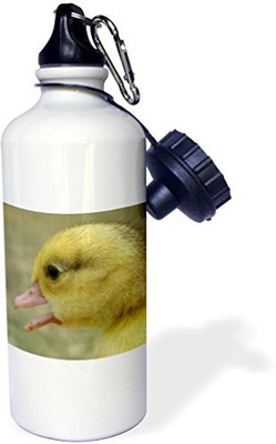 

3dRose 621 ml Water Purifier Bottle(White)