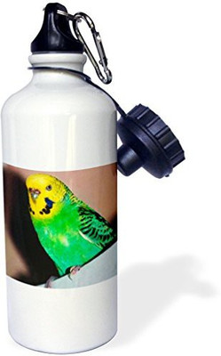 

3dRose 621 ml Water Purifier Bottle(White)