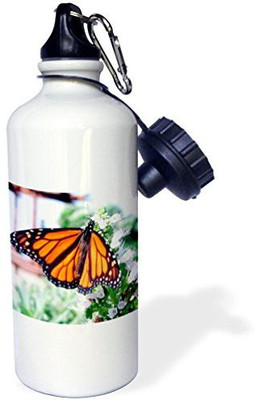 

3dRose 621 ml Water Purifier Bottle(White)