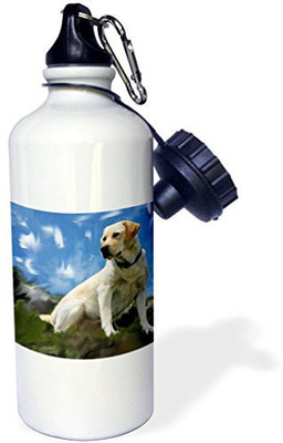 

3dRose 621 ml Water Purifier Bottle(White)