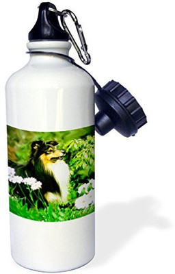 

3dRose 621 ml Water Purifier Bottle(White)