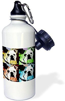 

3dRose 621 ml Water Purifier Bottle(White)