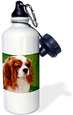 

3dRose 621 ml Water Purifier Bottle(White)