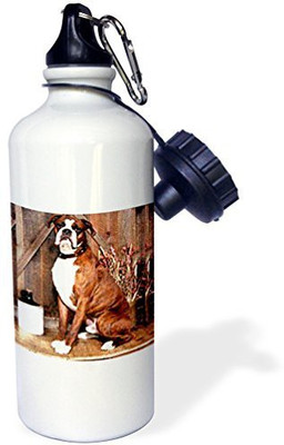 

3dRose 621 ml Water Purifier Bottle(White)