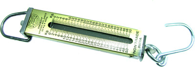 Fish 50 kg Spring Balance Weighing Scale(Green) available at flipkart for Rs.239